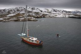 Spitsbergen_2025 (77/78)